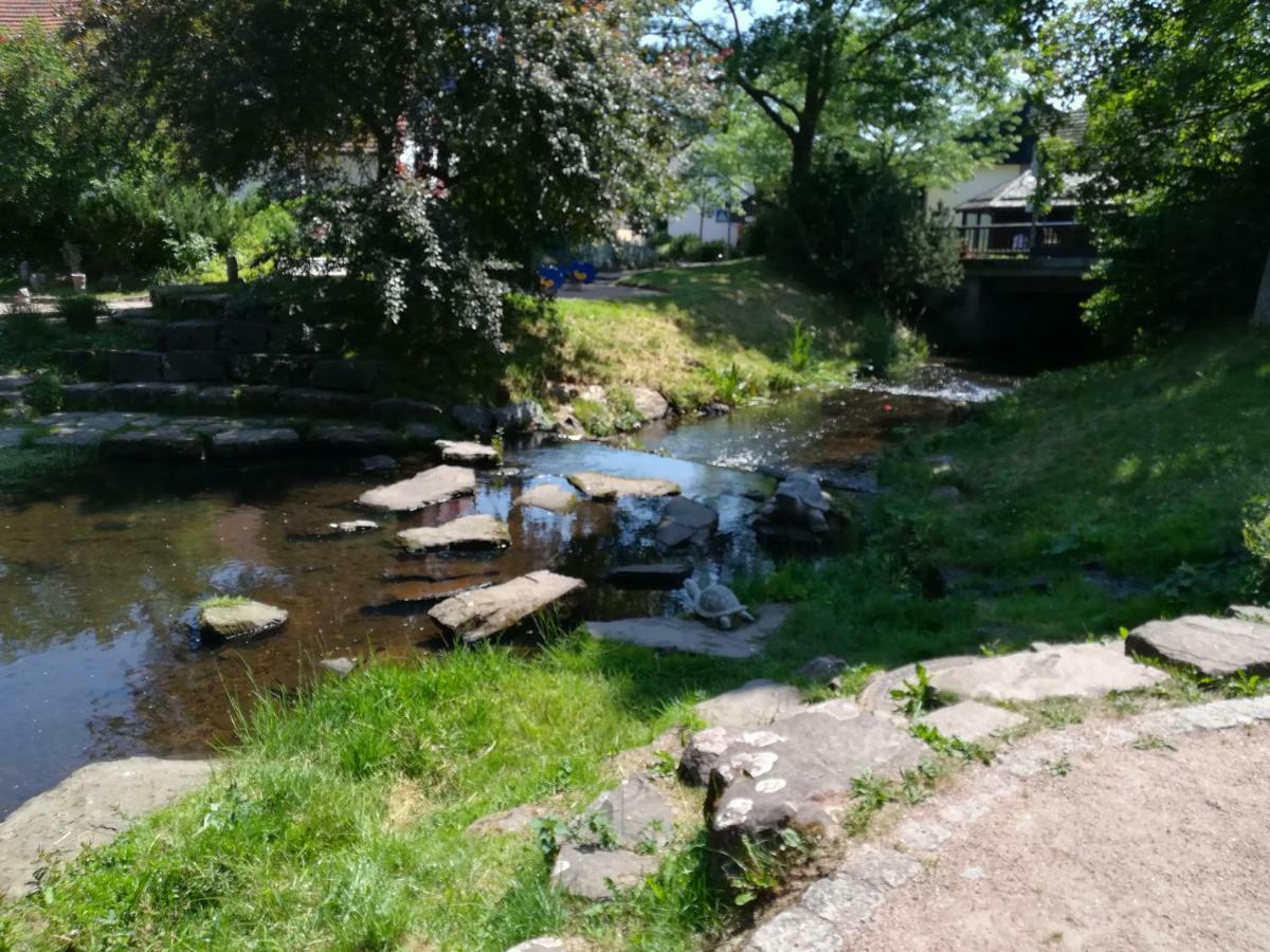 Am Sommerberg Unterkirnach Kültér fotó